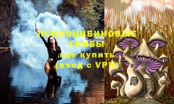 MESCALINE Новодвинск