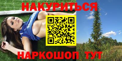 шишки Жуковский
