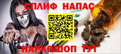 шишки Жуковский