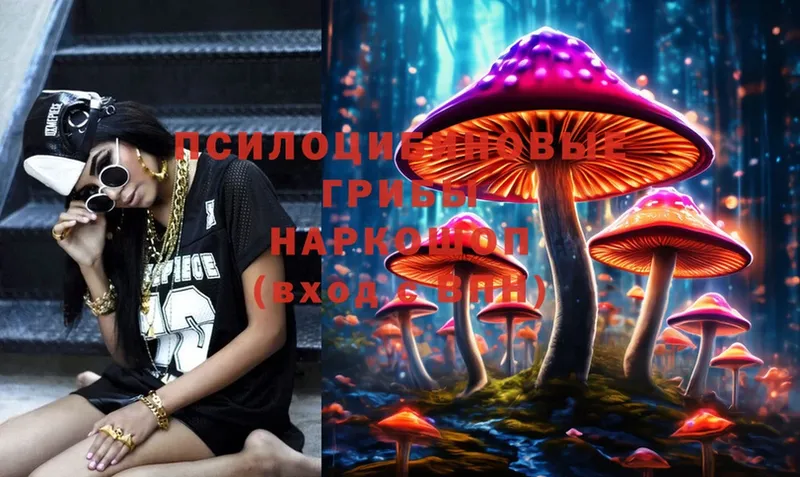 Галлюциногенные грибы Cubensis  Красноуфимск 