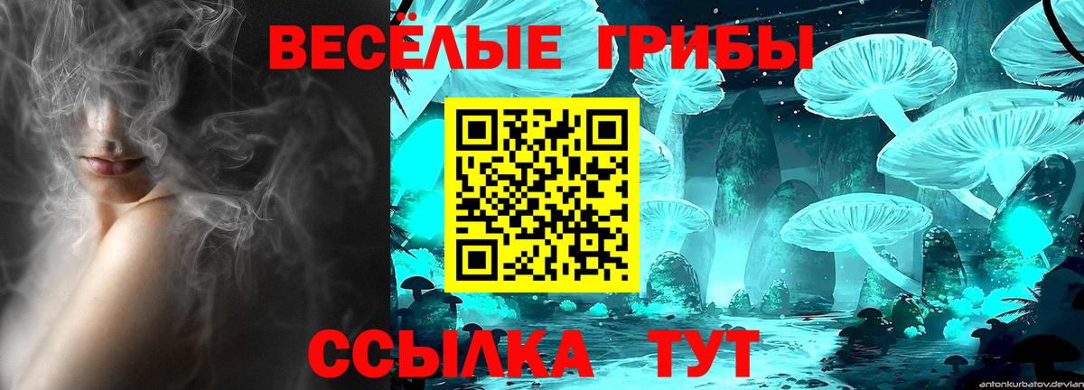 Псилоцибиновые грибы Cubensis Красноуфимск
